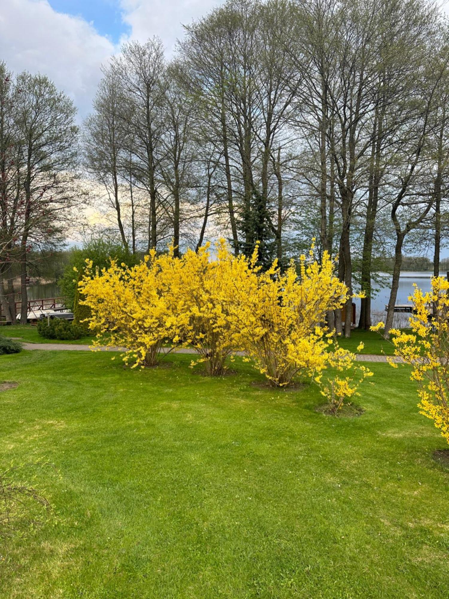 Vila Viesai Тракай Екстериор снимка